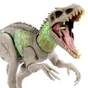 J.W. INDOMINUS REX CAM.Y CONQ.