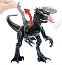 J.W. INDORAPTOR