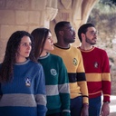 JERSEY HARRY POTTER ROJO T.S