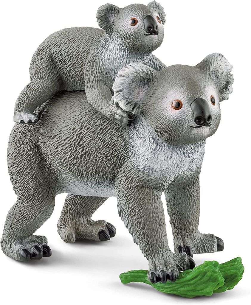 KOALA C/CRIA