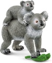 KOALA C/CRIA