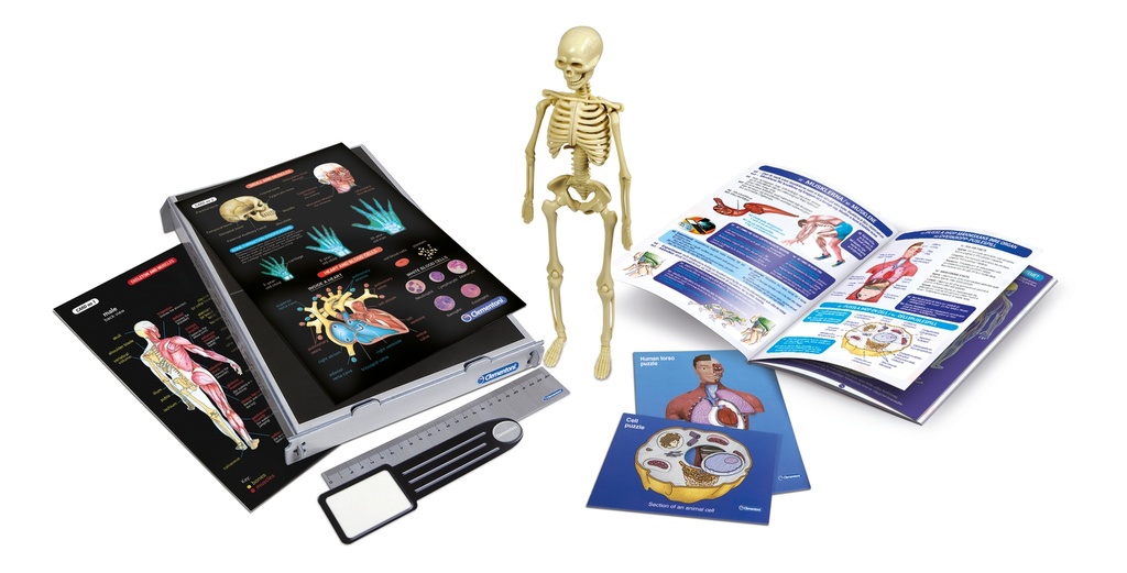 LABORATORIO ANATOMIA