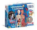 LABORATORIO ANATOMIA