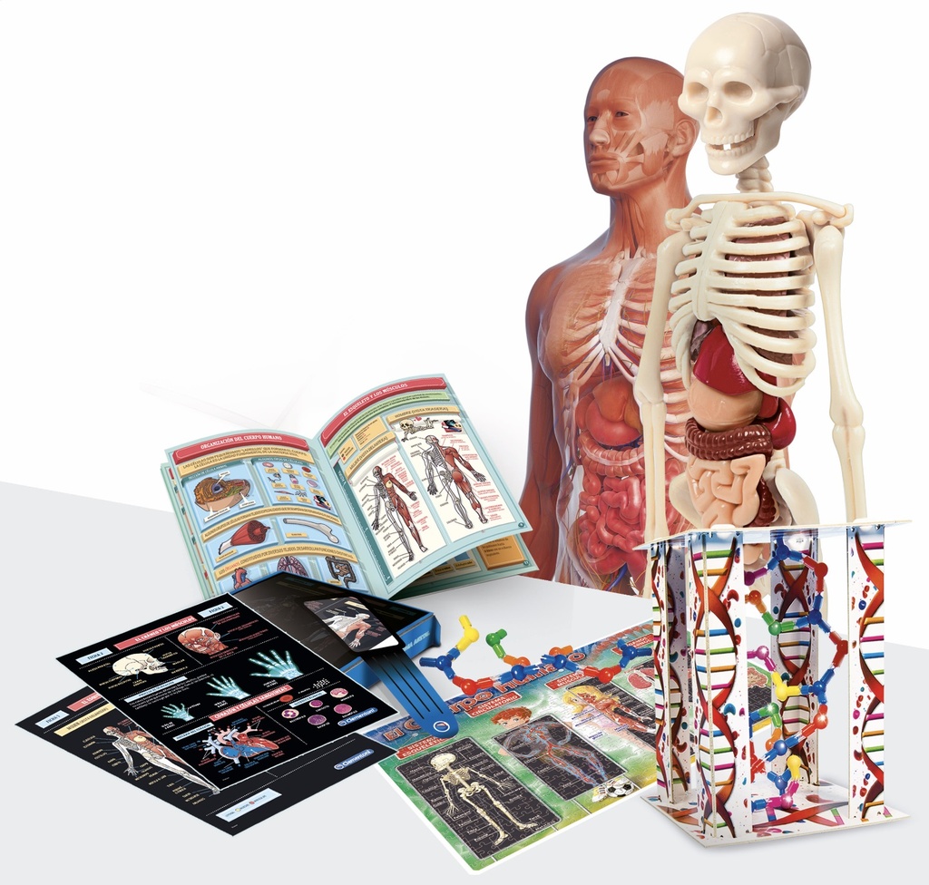 LABORATORIO ANATOMIA