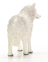 LOBO ARTICO