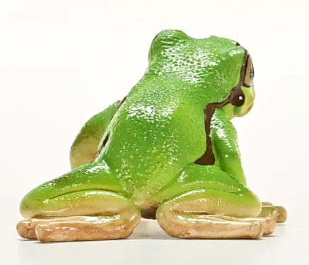 RANA ARBORICOLA EUROPEA