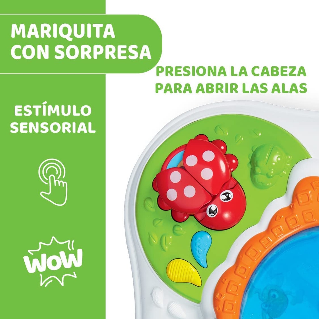 MESA SENSORIAL