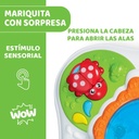 MESA SENSORIAL