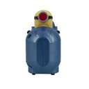MINIONS-LADRON
