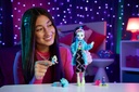 MONSTER HIGH F.P.FRANKIE STEIN