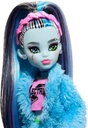 MONSTER HIGH F.P.FRANKIE STEIN