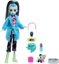 MONSTER HIGH F.P.FRANKIE STEIN