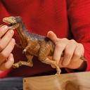 MOROS INTREPIDUS