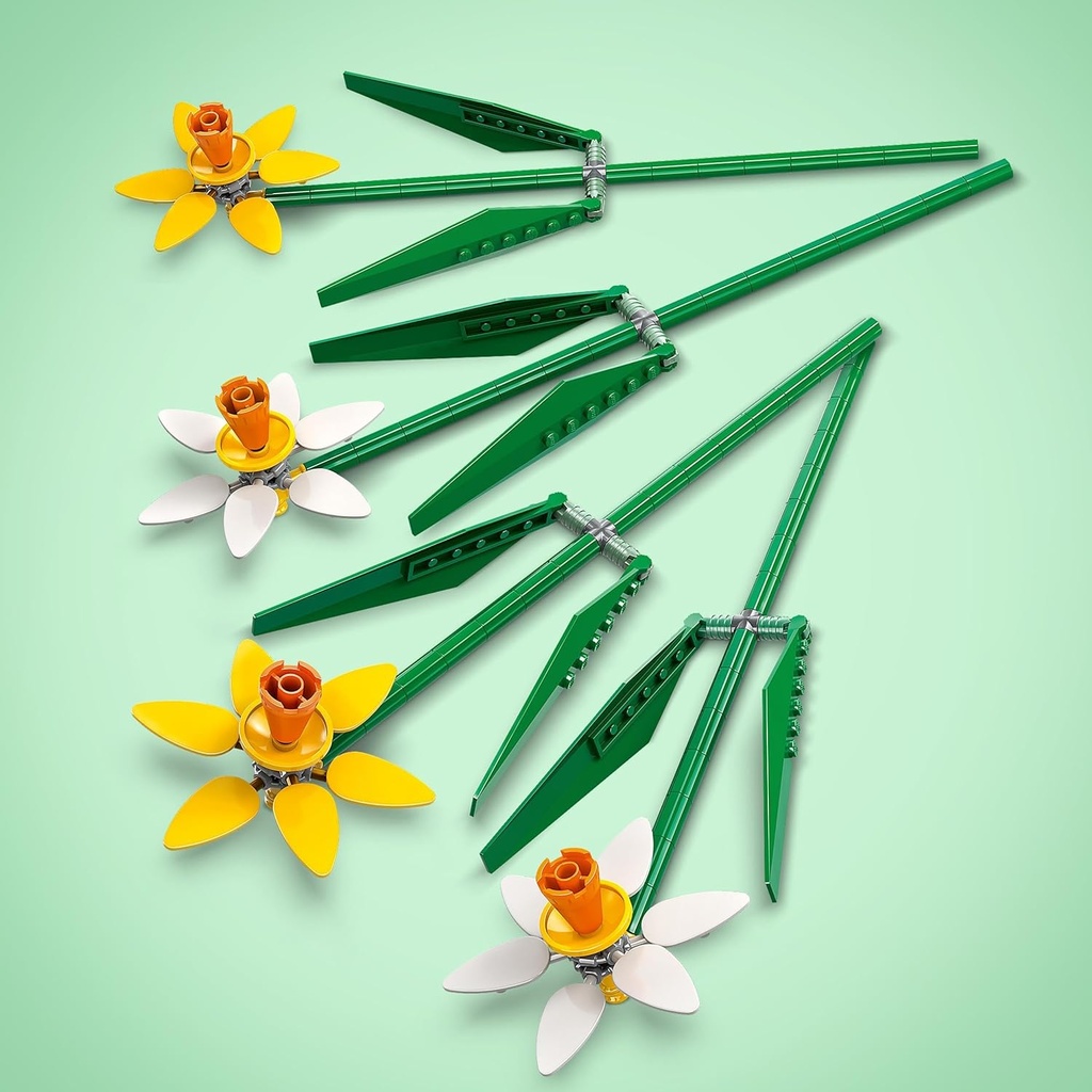 NARCISOS