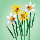NARCISOS