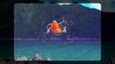 NEW POKEMON SNAP NSW