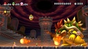 NEW SUPER MARIO BROS U DEL.NSW