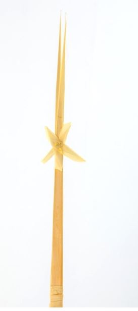 PALMON HOJA FLOR
