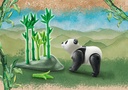 PANDA