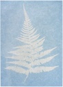 PAPEL IMPRESION SOLAR