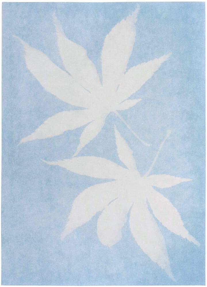 PAPEL IMPRESION SOLAR