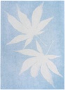 PAPEL IMPRESION SOLAR