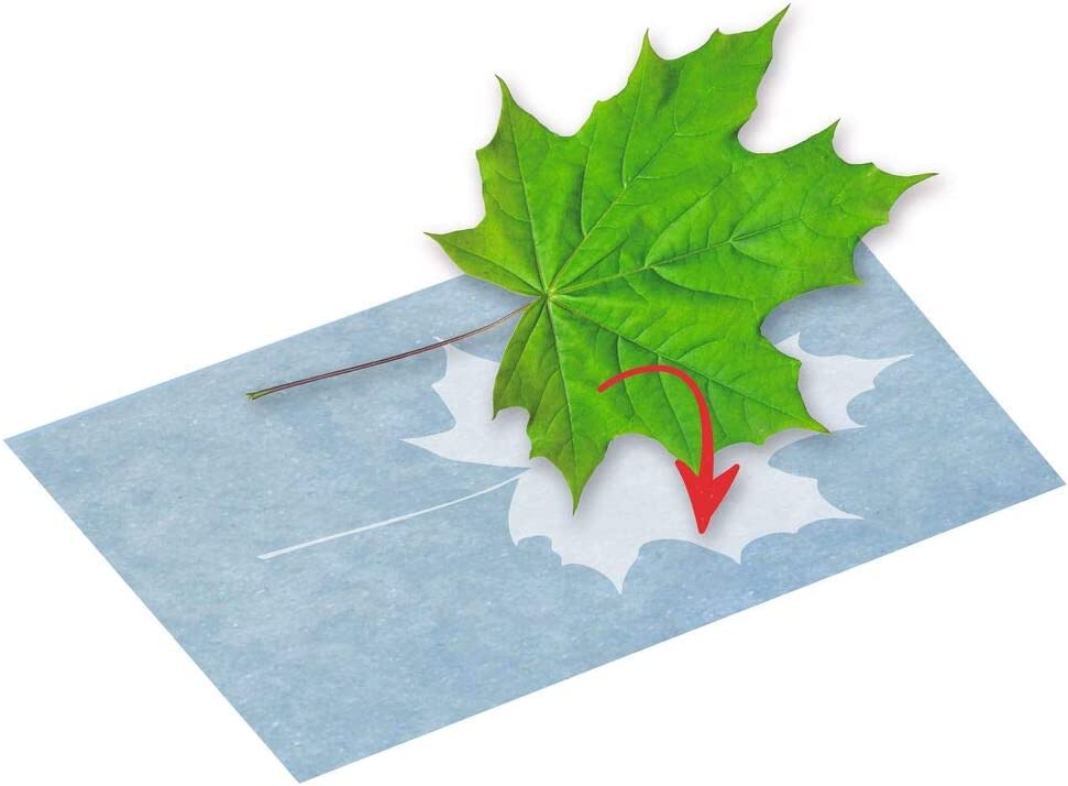 PAPEL IMPRESION SOLAR