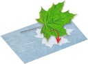 PAPEL IMPRESION SOLAR