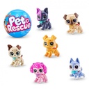 PET RESCUE