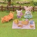 PICNIC HERMANOS ZORRO SYLVAN.