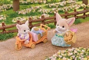 PICNIC HERMANOS ZORRO SYLVAN.