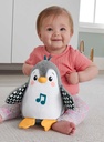PINGUINO ANDA Y ALETEA F.P.