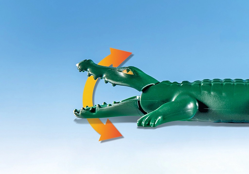 PIRATA CON CAIMAN