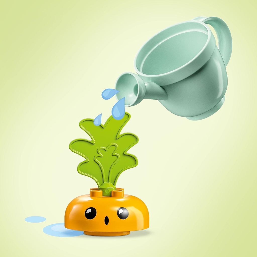 PLANTA DE ZANAHORIA