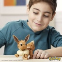 POKEMON CONSTRUYE EEVEE
