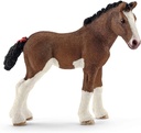POTRO CLYDESDALE
