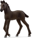 POTRO FRISON