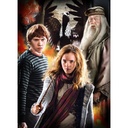 PUZ 3X1000 HARRY POTTER