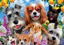 PUZ. 200 SELFIE MASCOTAS