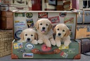 PUZ. 500 CACHORROS EQUIPAJE