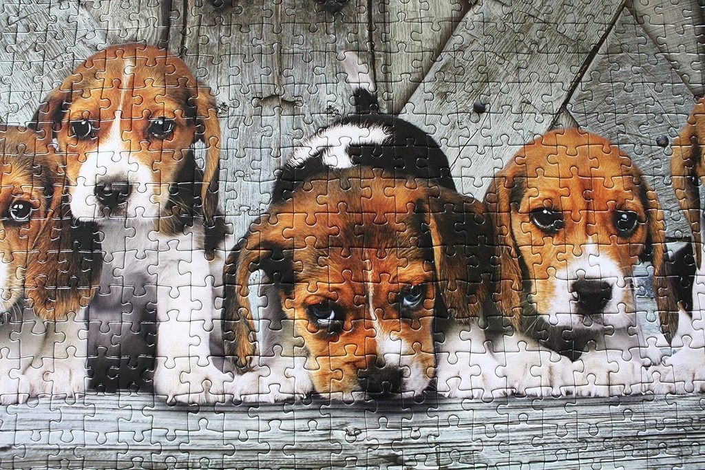 PUZ.1000 BEAGLES-PANORAMA
