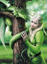PUZ.1000 KINDRED SPIRIT-A.STOK