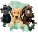 PUZ.1000 LOS TRES LABRADORES