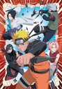 PUZ.1000 NARUTO