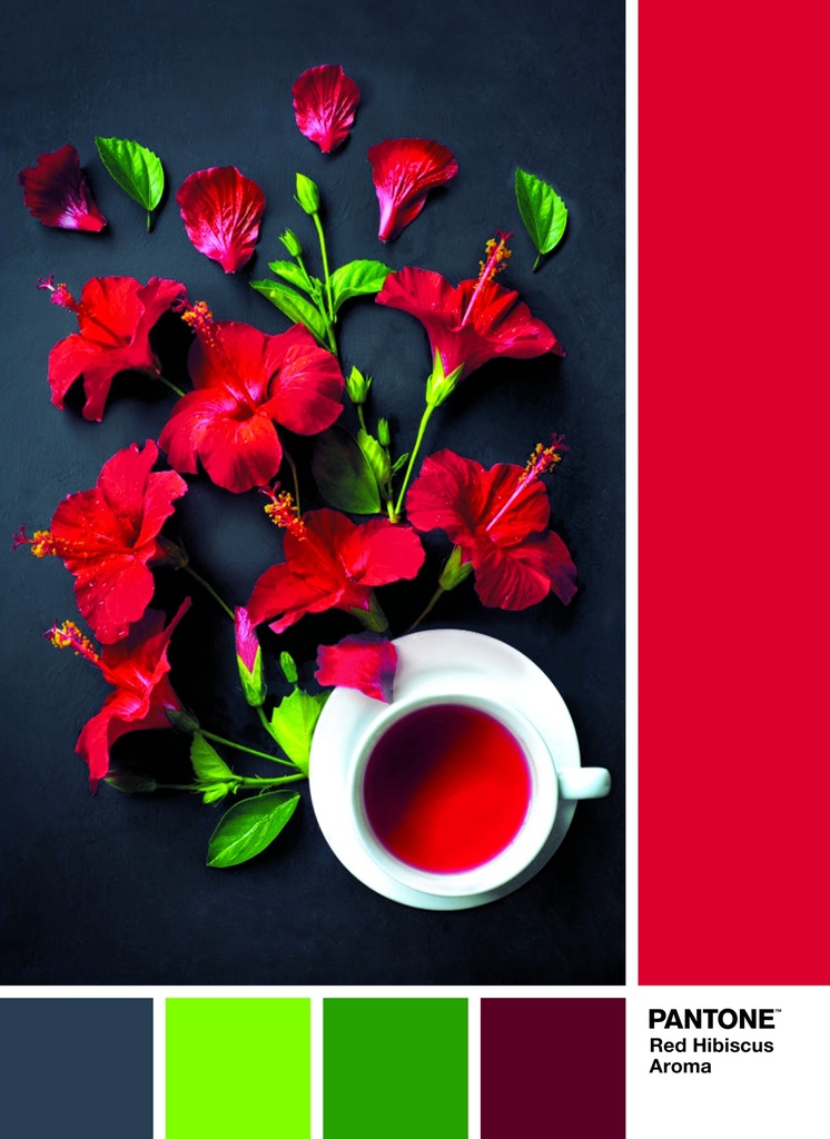 PUZ.1000 PANTONE-ROJO