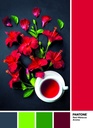 PUZ.1000 PANTONE-ROJO