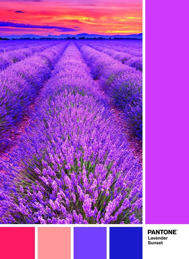 PUZ.1000 PANTONE-VIOLETA