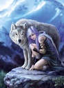 PUZ.1000 PROTECTOR-A.STOKES