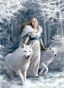 PUZ.1000 WINTER GUARDIANS