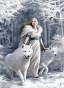 PUZ.1000 WINTER GUARDIANS
